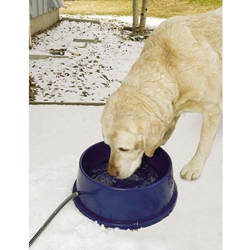 Thermal-Bowl Heated Pet Bowl